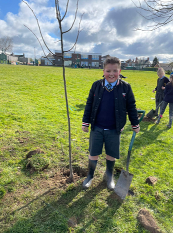 Council, tree planting, Thursfield Primary School, Staffordshire County Council, Queen's Platinum Jubilee.