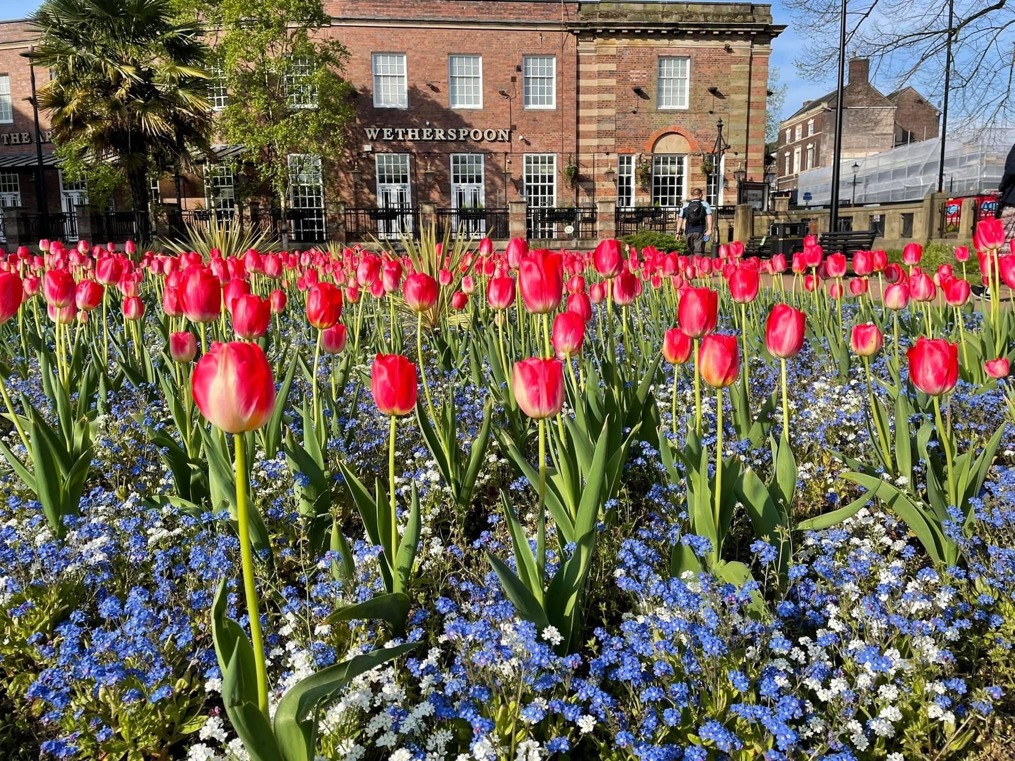 The borough’s Heart of England in Bloom campaign is being given a new look for 2024.